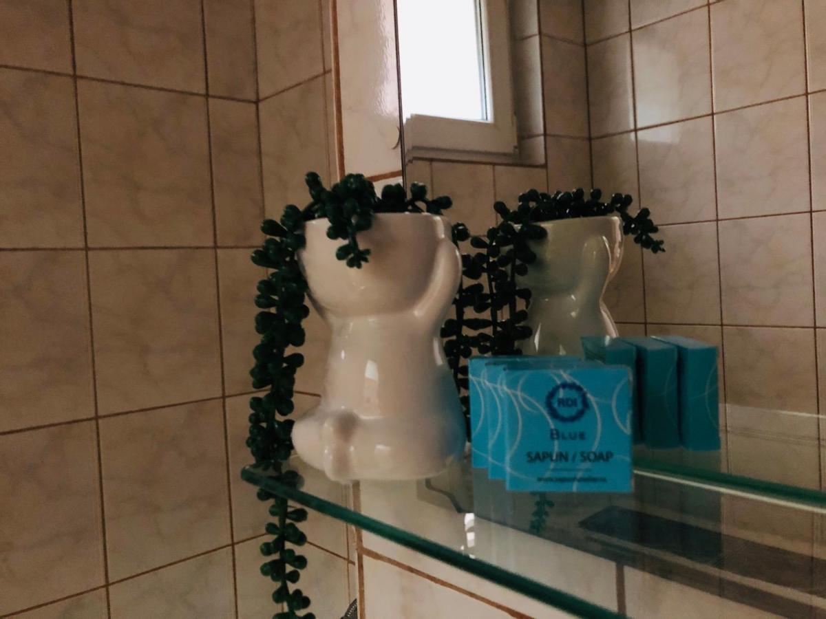 Ana-Maria Home Râmnicu Vâlcea Εξωτερικό φωτογραφία